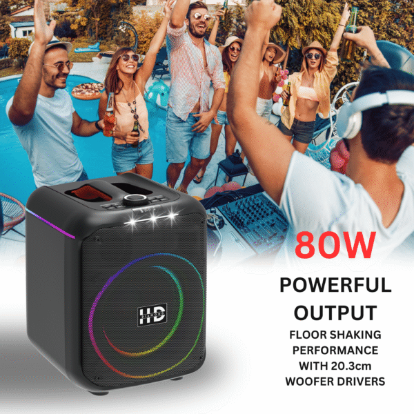 HD-108DC PARTY SPEAKER - Image 3