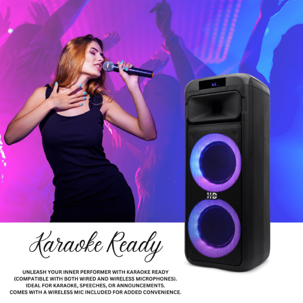 HD-T6666DC PARTY SPEAKER - Image 5