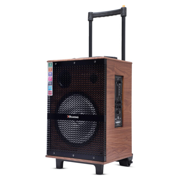 HD-608DC Trolley Speaker - Image 4