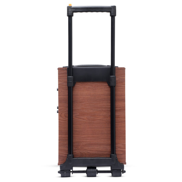 HD-608DC Trolley Speaker - Image 6