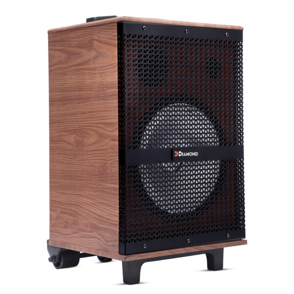 HD-608DC Trolley Speaker - Image 7