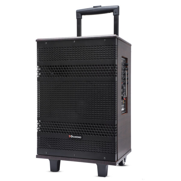 HD-110DC Trolley Speaker - Image 3