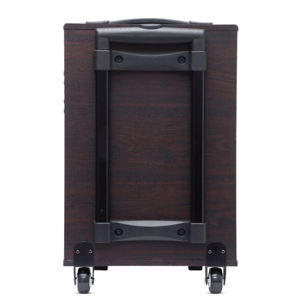 HD-110DC Trolley Speaker - Image 7