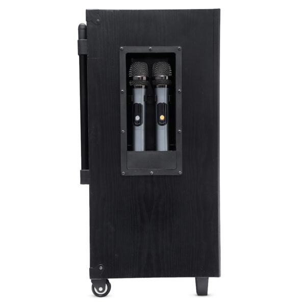 HD-515DC Professional Trolley Speaker - Image 6