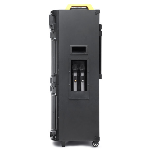 HD-1212AC/DC Professional Trolley Speaker - Image 5